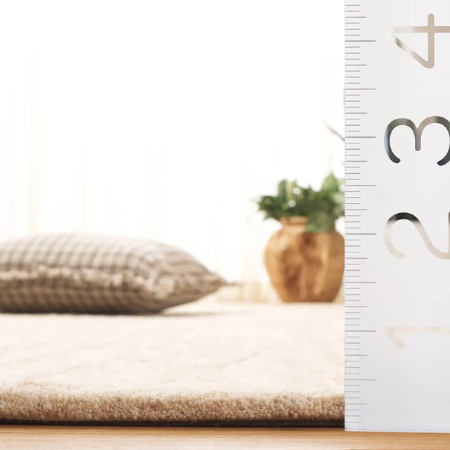 Safavieh Ebony 4'-0" x 6'-0" Rug in Beige / Ivory