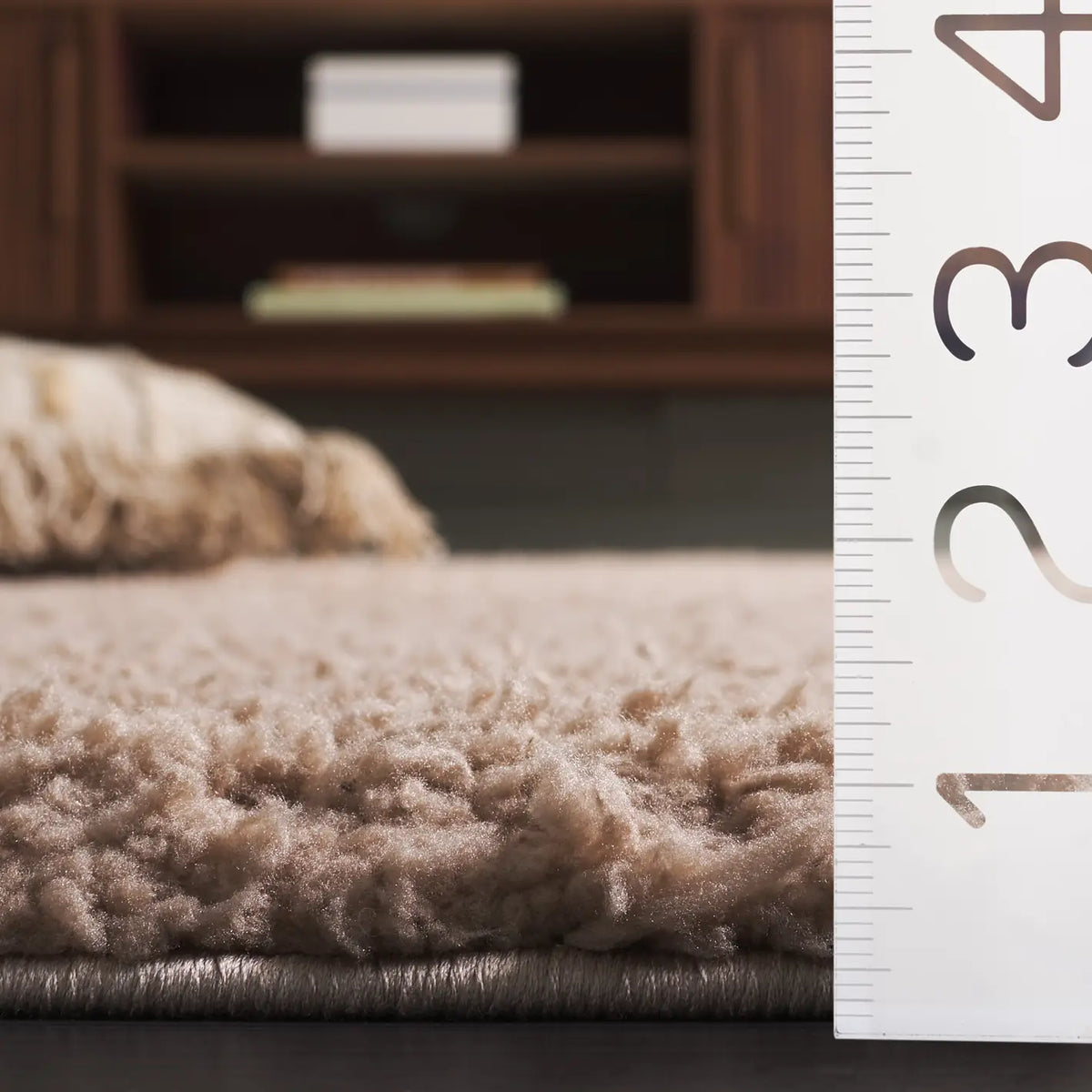 Safavieh Rumi Shag 4'-0" x 6'-0" Rug in Beige