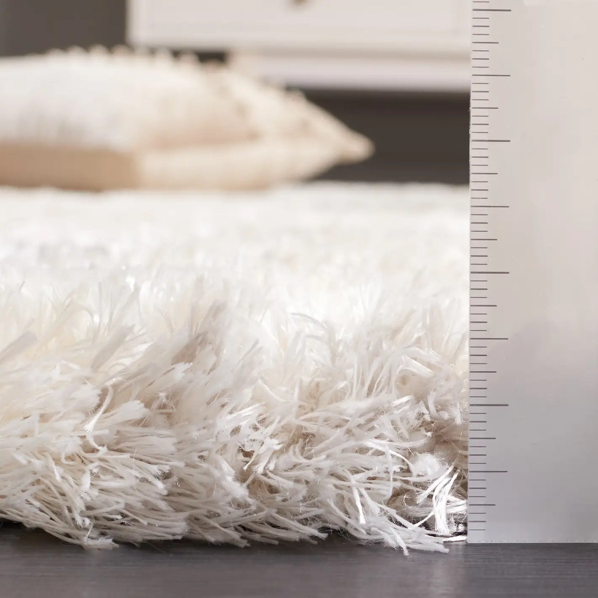Safavieh Cloud Shag 4'-0" x 6'-0" Rug in Ivory / Grey