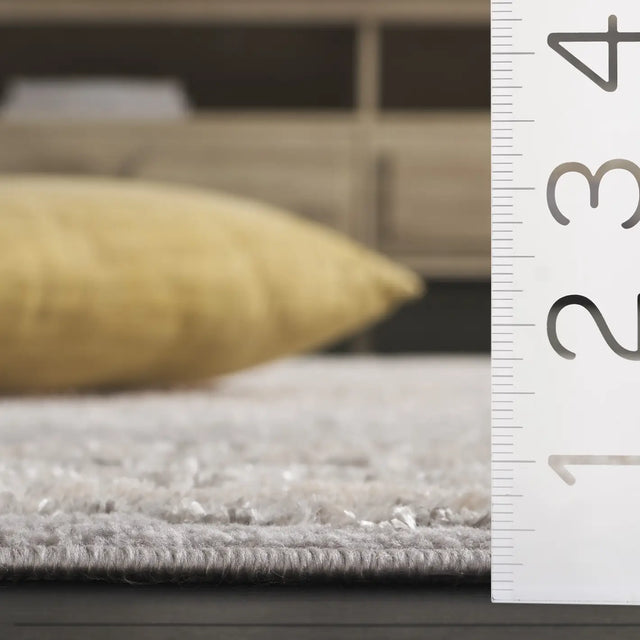 Safavieh Maya 4'-0" x 6'-0" Rug in Ivory / Grey