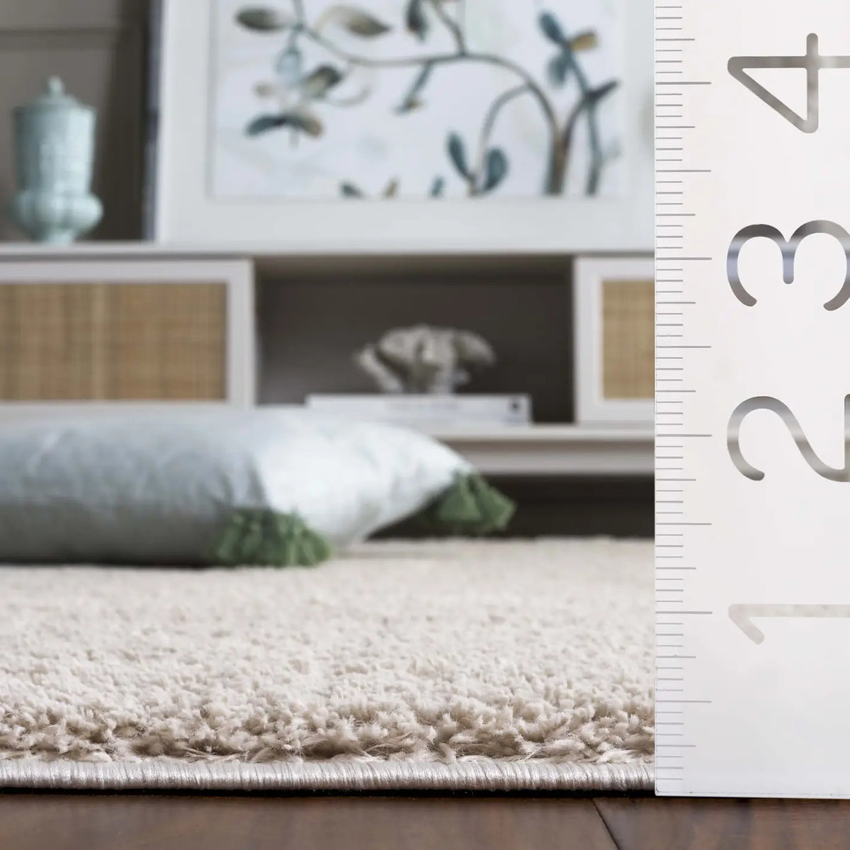 Safavieh Penelope Shag 4'-0" x 6'-0" Rug in Beige