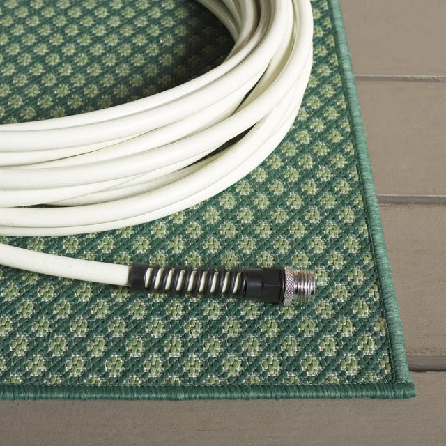Safavieh Terrace 800 4'-0" x 6'-0" Rug in Green / Ivory
