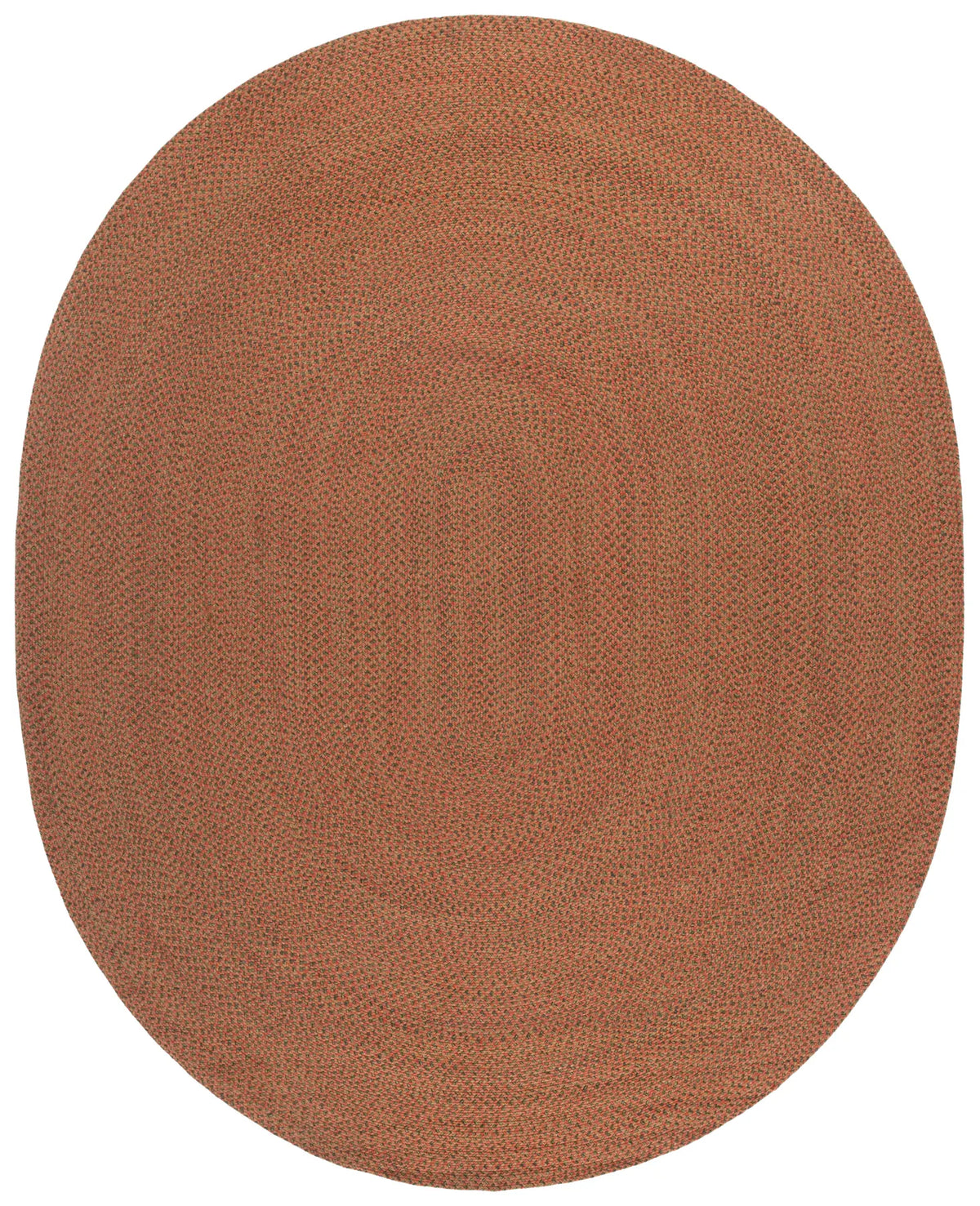 Safavieh Braided 8'-0" x 10'-0" Rug in Multi