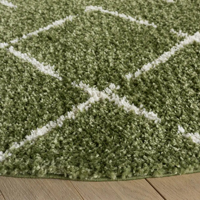 Safavieh Arizona Shag 6'-7" x 6'-7" Rug in Green / Ivory