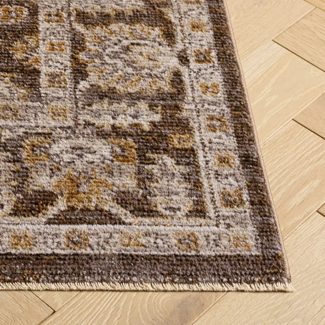 Safavieh Hazel 500 5'-3" x 7'-6" Rug in Brown / Ivory