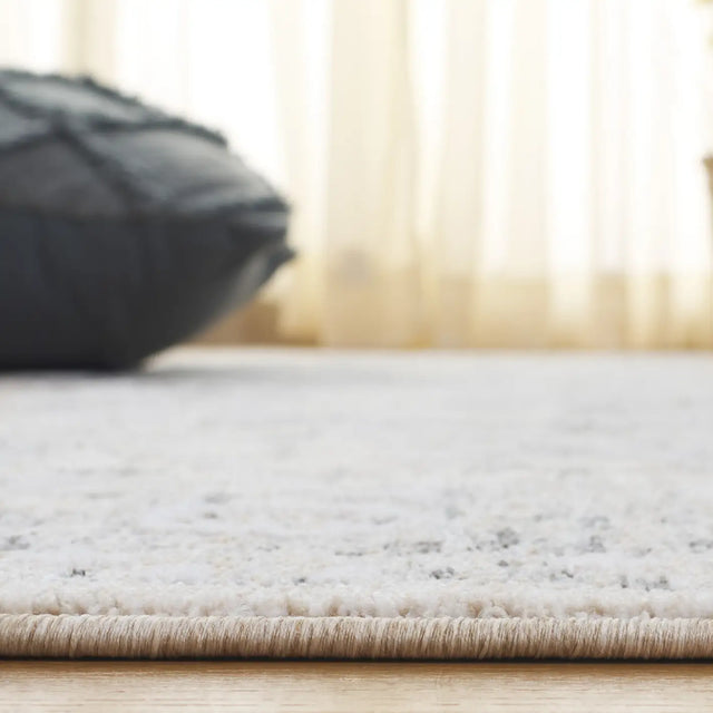 Safavieh Finley 4'-0" x 6'-0" Rug in Grey / Beige