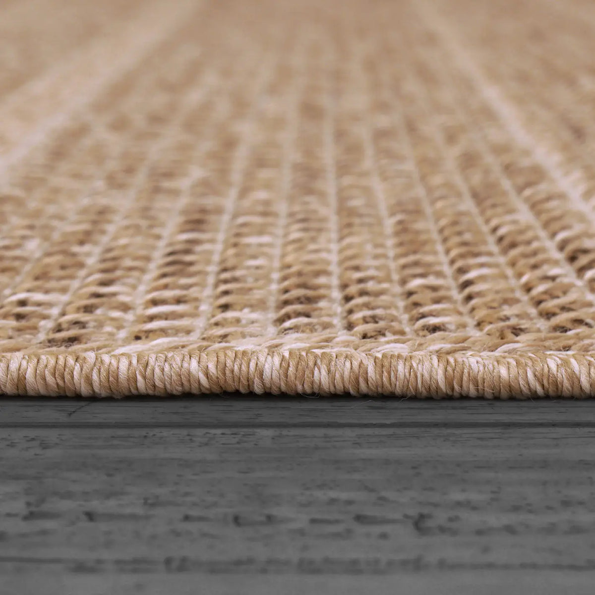Dynamic Rugs Kenai 8771 Power Loomed Modern Natural Rug - Pile