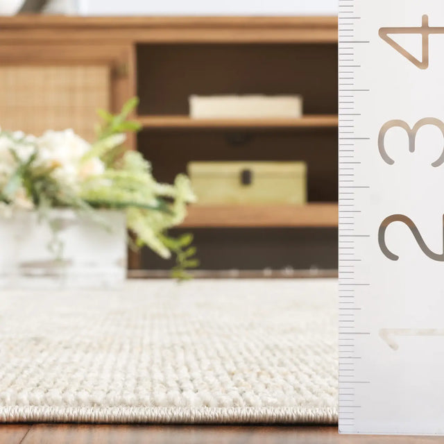 Safavieh Hazel 500 4'-0" x 6'-0" Rug in Ivory / Beige