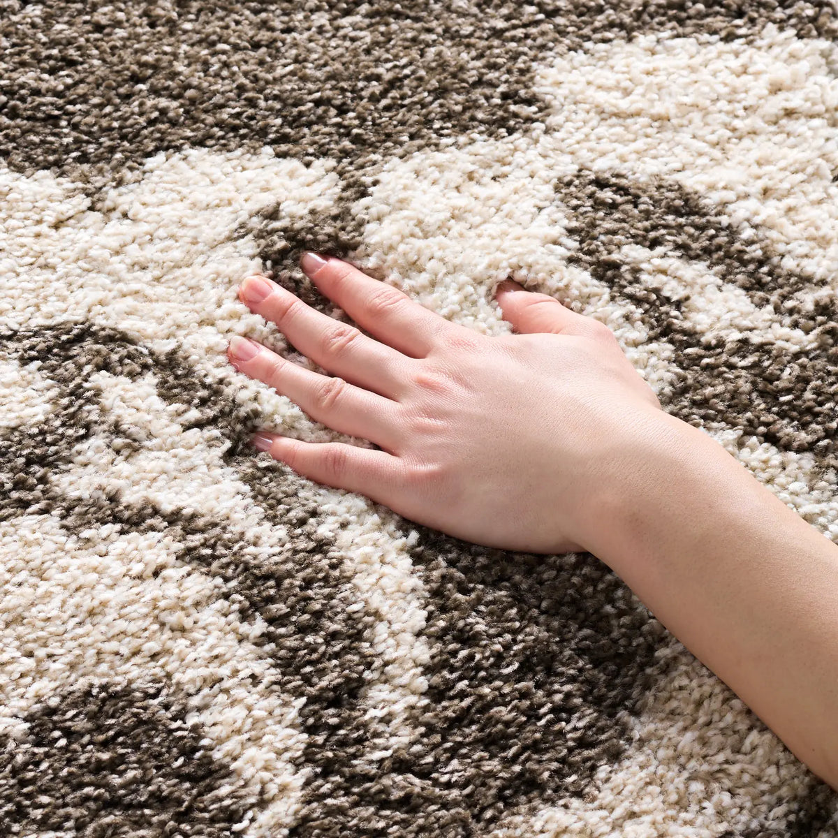 Safavieh Florida Shag 4'-0" x 6'-0" Rug in Smoke / Beige