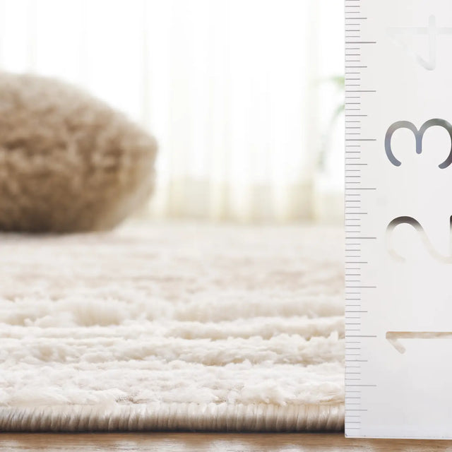 Safavieh Seattle Shag 900 4'-0" x 6'-0" Rug in Ivory / Beige