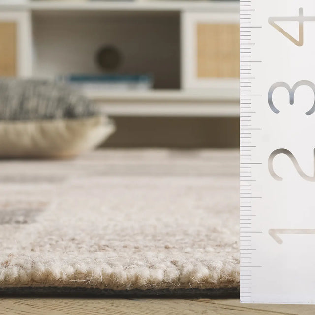 Safavieh Pine 4'-0" x 6'-0" Rug in Ivory / Light Brown