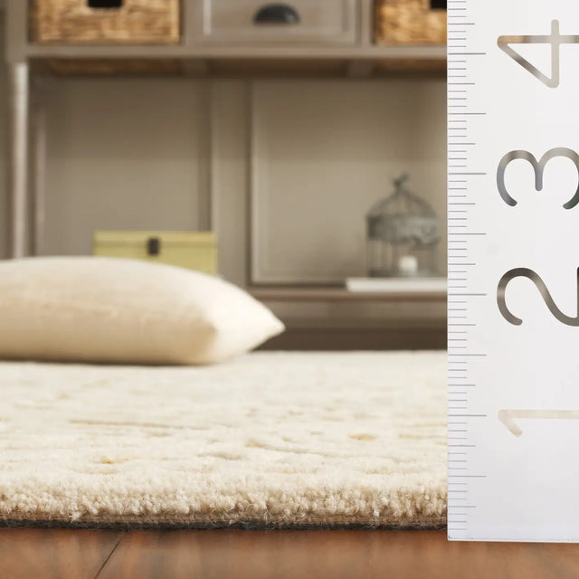 Safavieh Cambridge 4'-0" x 6'-0" Rug in Ivory / Gold