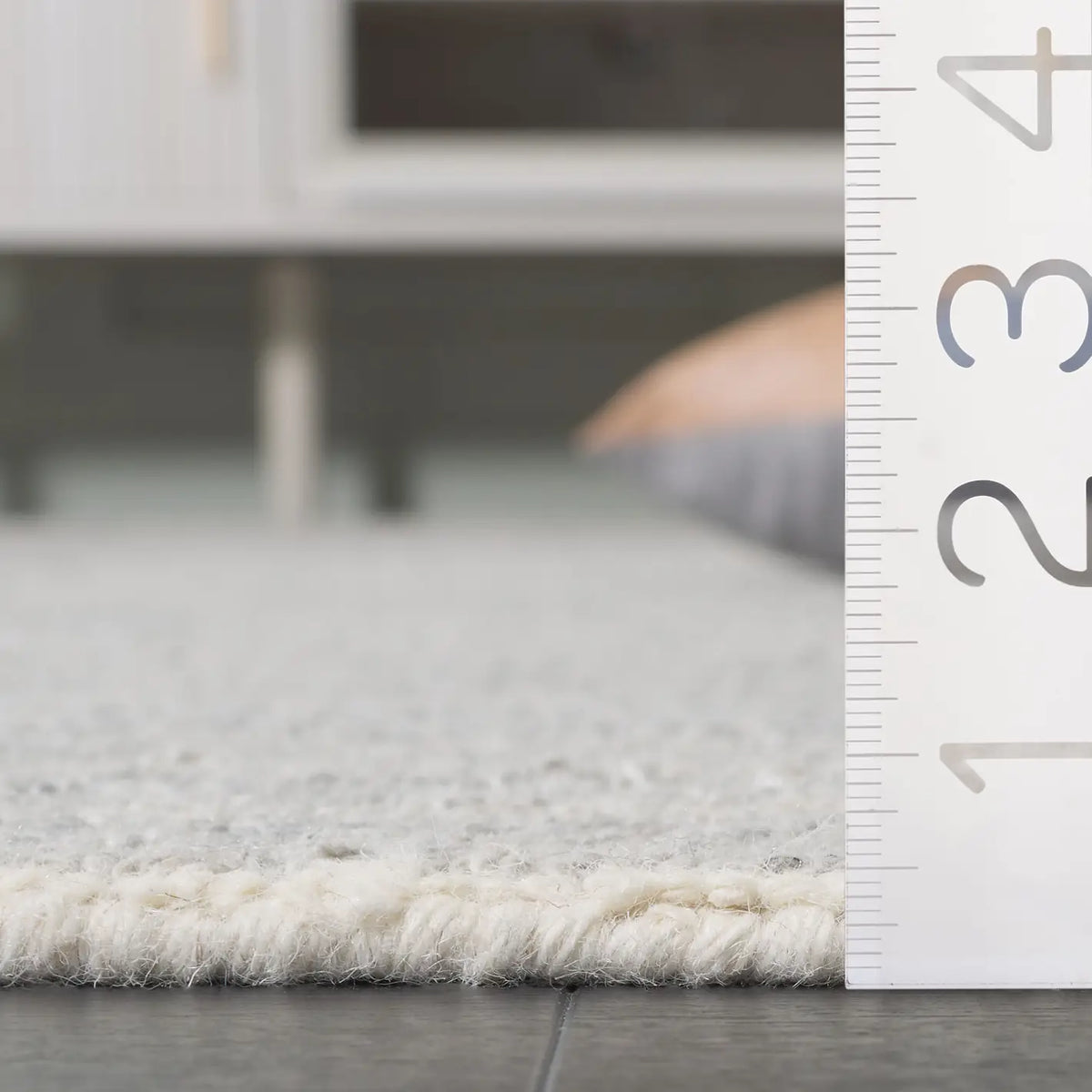 Safavieh Ebony 4'-0" x 6'-0" Rug in Beige / Taupe
