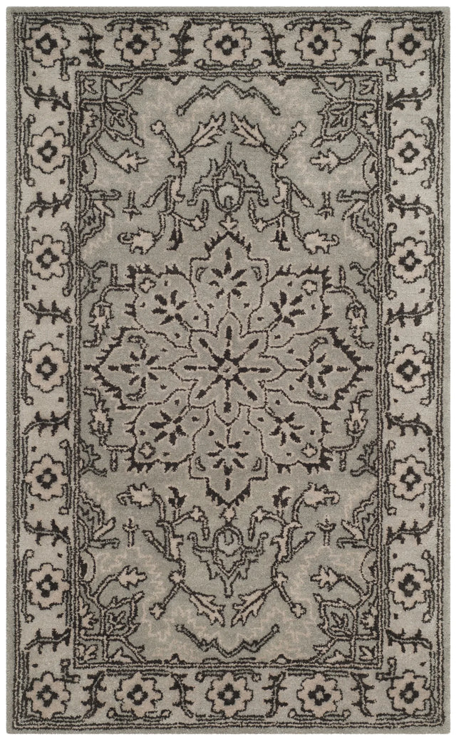 Safavieh Antiquity 3'-0" x 5'-0" Rug in Grey / Beige