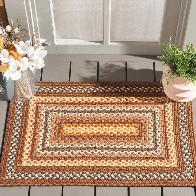 Safavieh Braided 2'-0" x 3'-0" Rug in Brown / Light Brown