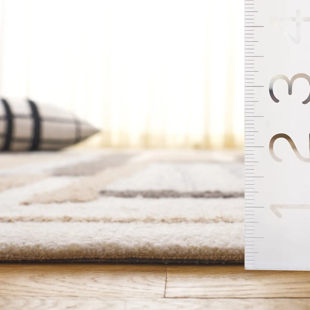 Safavieh Ebony 4'-0" x 6'-0" Rug in Ivory / Brown