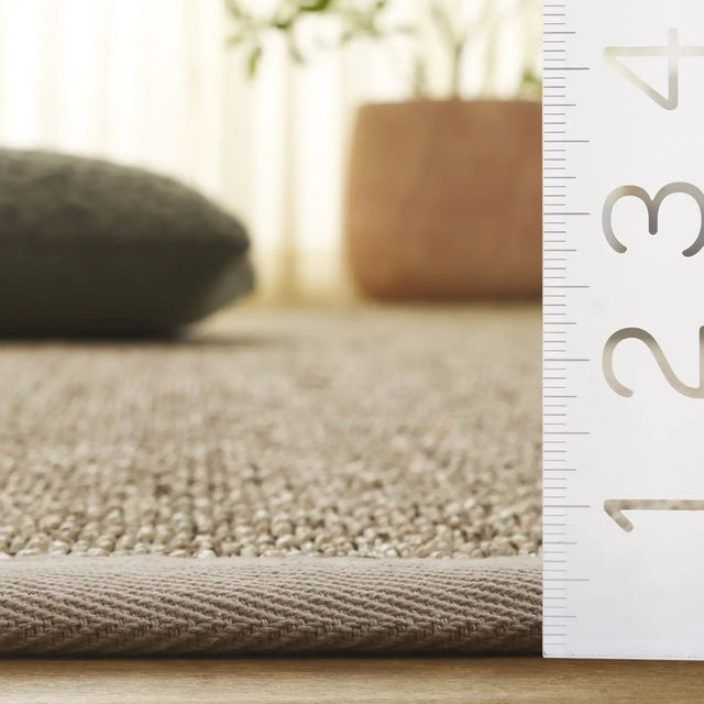 Safavieh Natural Fiber 4'-0" x 6'-0" Rug in Natural / Ivory