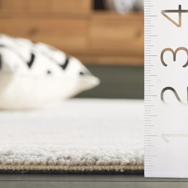 Safavieh Pine 4'-0" x 6'-0" Rug in Light Grey / Ivory