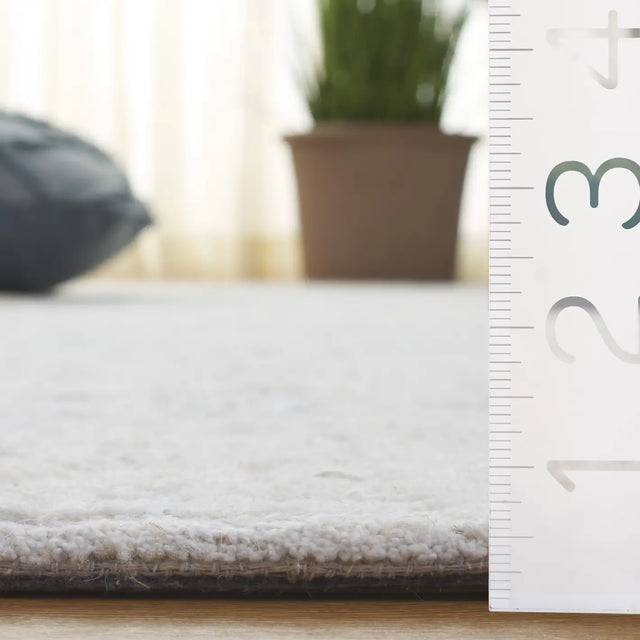 Safavieh Ebony 4'-0" x 6'-0" Rug in Silver / Ivory