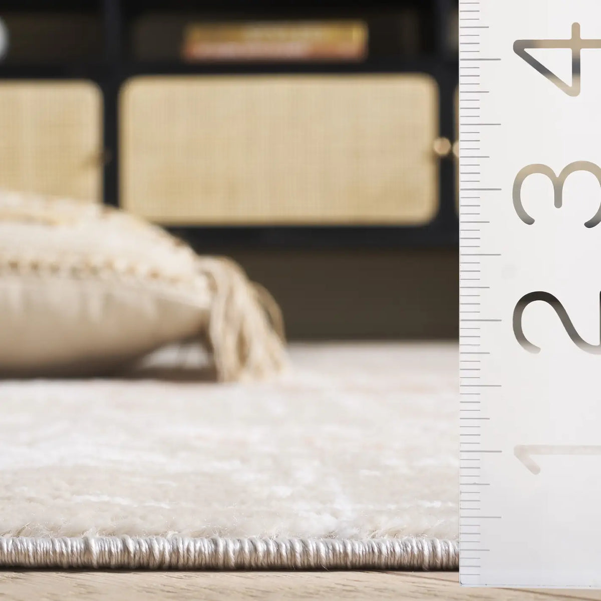 Safavieh Mila 4'-0" x 6'-0" Rug in Ivory / Beige
