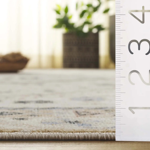 Safavieh Bayside 4'-0" x 6'-0" Rug in Ivory / Beige Blue