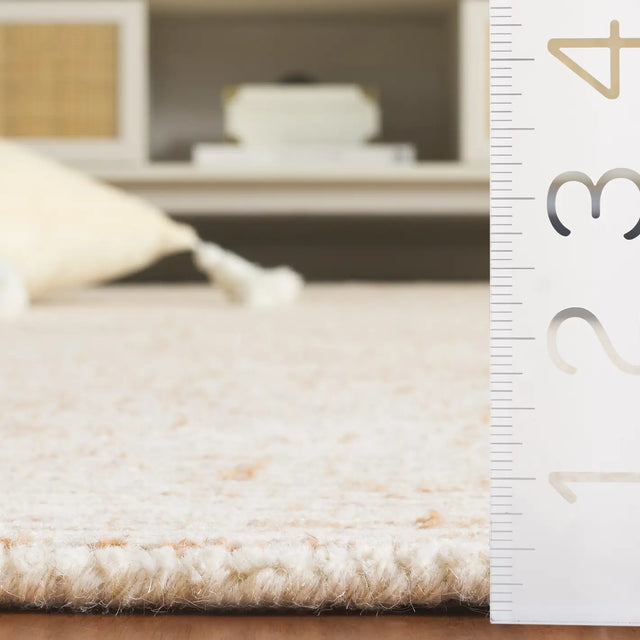 Safavieh Abstract 4'-0" x 6'-0" Rug in Ivory / Beige