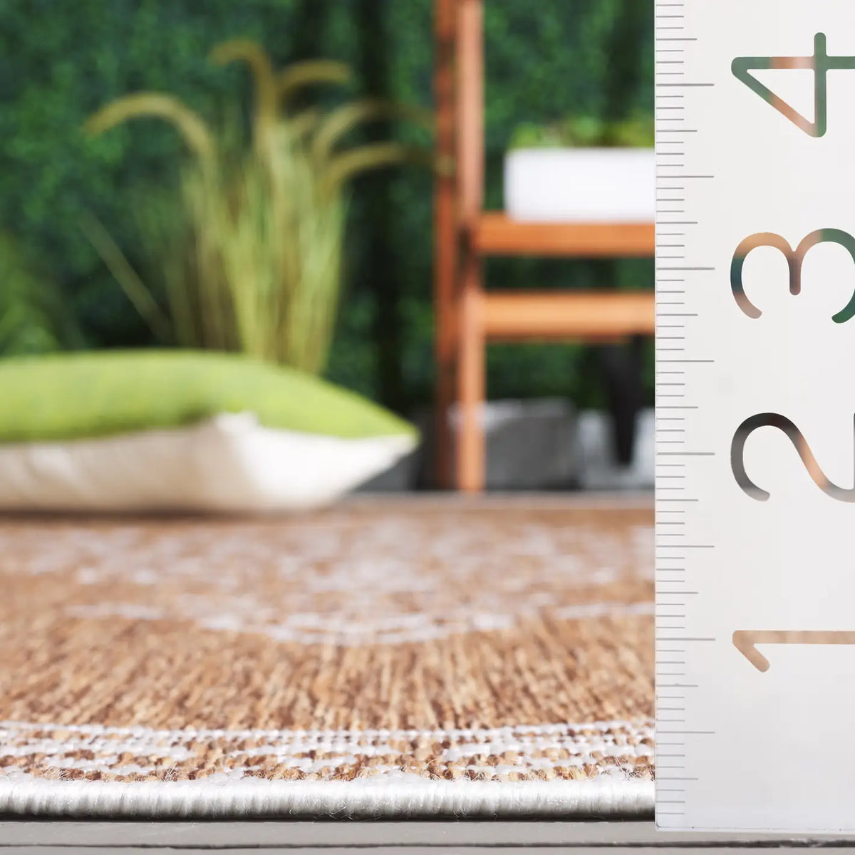 Safavieh Beach House 4'-0" x 6'-0" Rug in Brown / Ivory