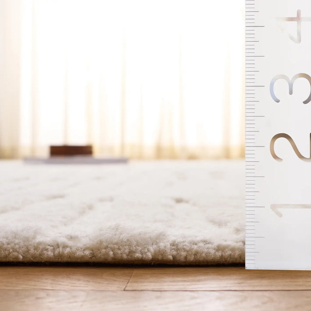 Safavieh Ebony 4'-0" x 6'-0" Rug in Ivory