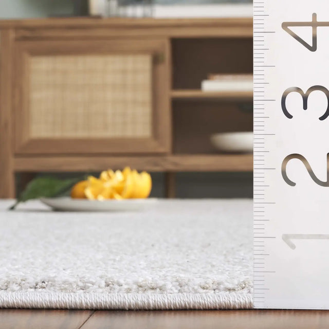 Safavieh Northport 4'-0" x 6'-0" Rug in Ivory / Beige