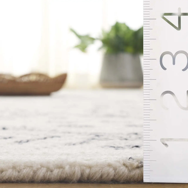 Safavieh Ebony 4'-0" x 6'-0" Rug in Ivory / Grey