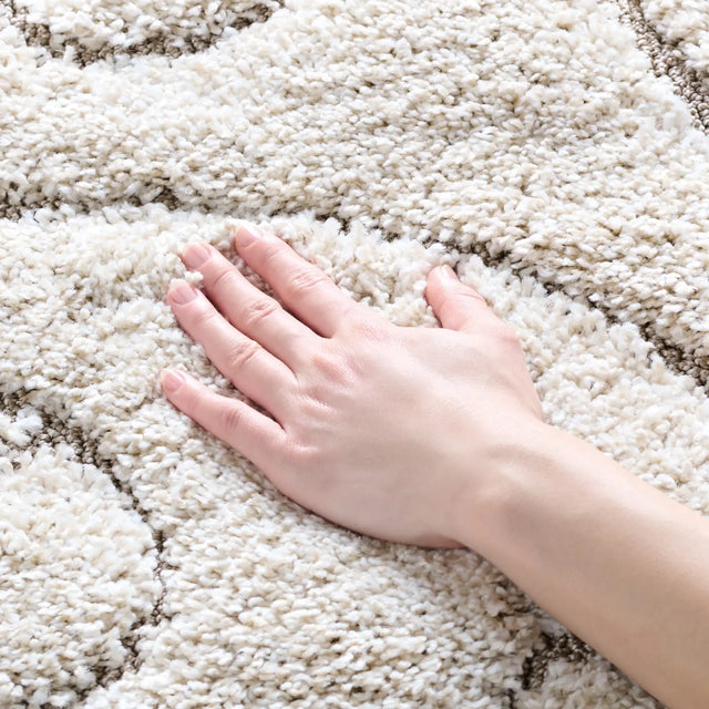 Safavieh Florida Shag 4'-0" x 6'-0" Rug in Cream / Beige