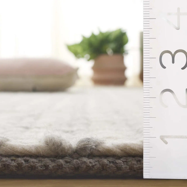 Safavieh Manhattan 4'-0" x 6'-0" Rug in Ivory / Grey