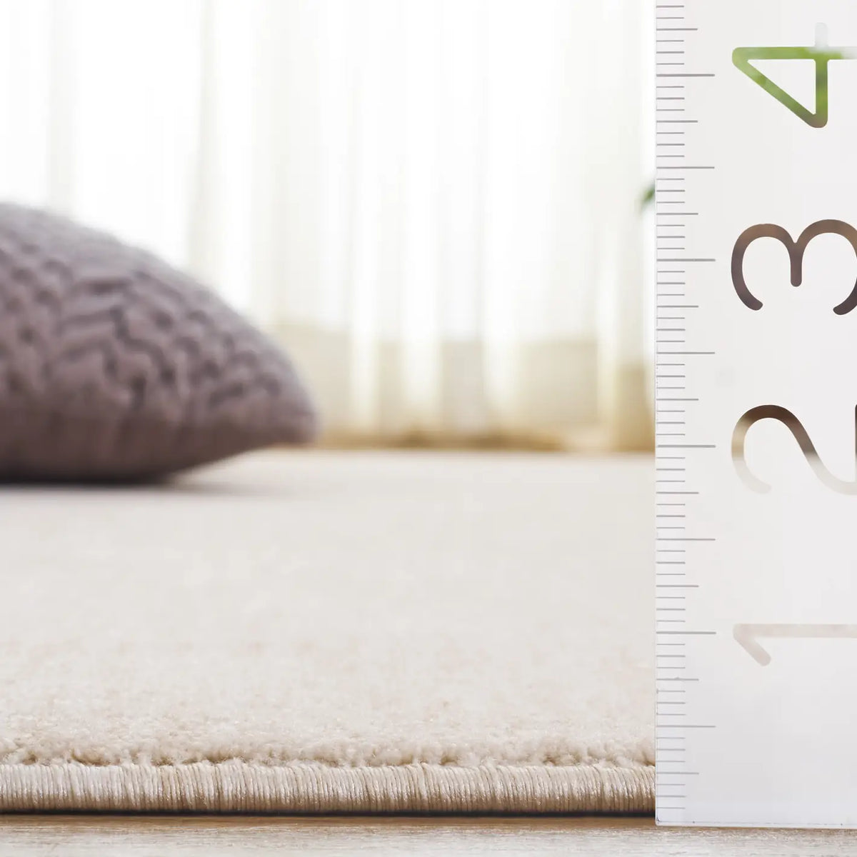 Safavieh Haven 4'-0" x 6'-0" Rug in Ivory