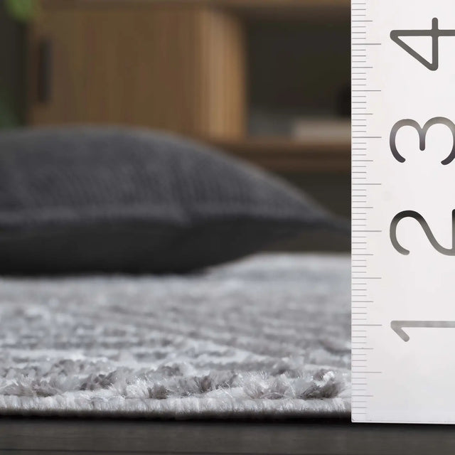 Safavieh Maya 4'-0" x 6'-0" Rug in Ivory / Grey