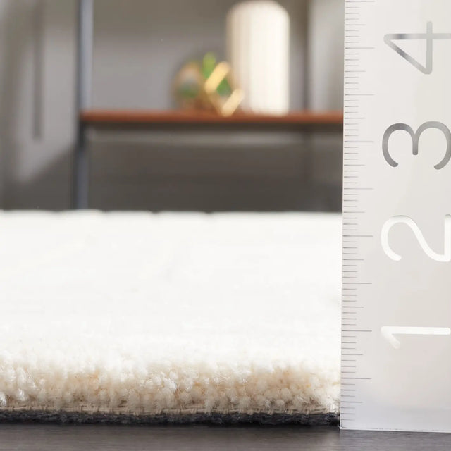 Safavieh Ebony 4'-0" x 6'-0" Rug in Ivory