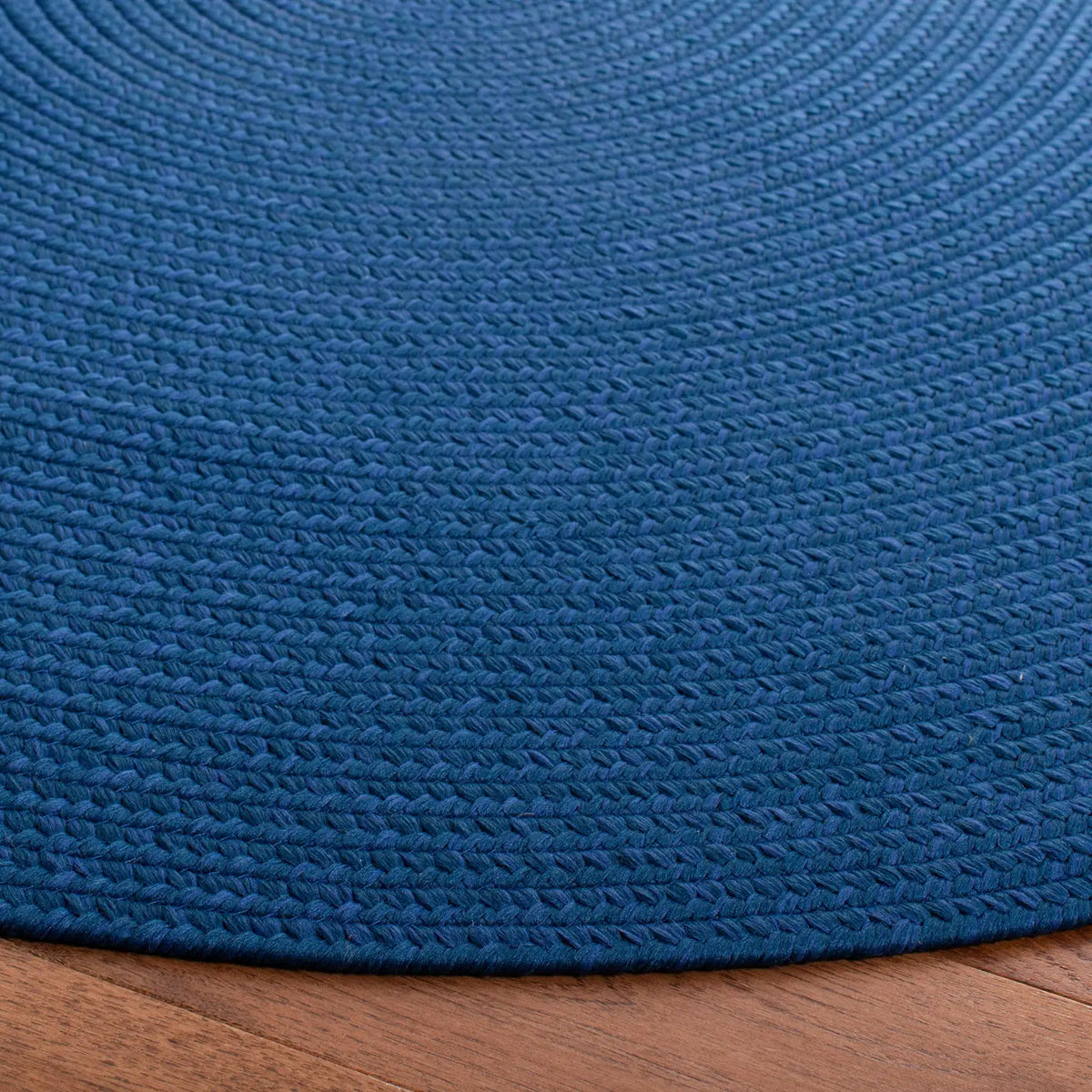 Safavieh Braided 5'-0" x 8'-0" Rug in Blue