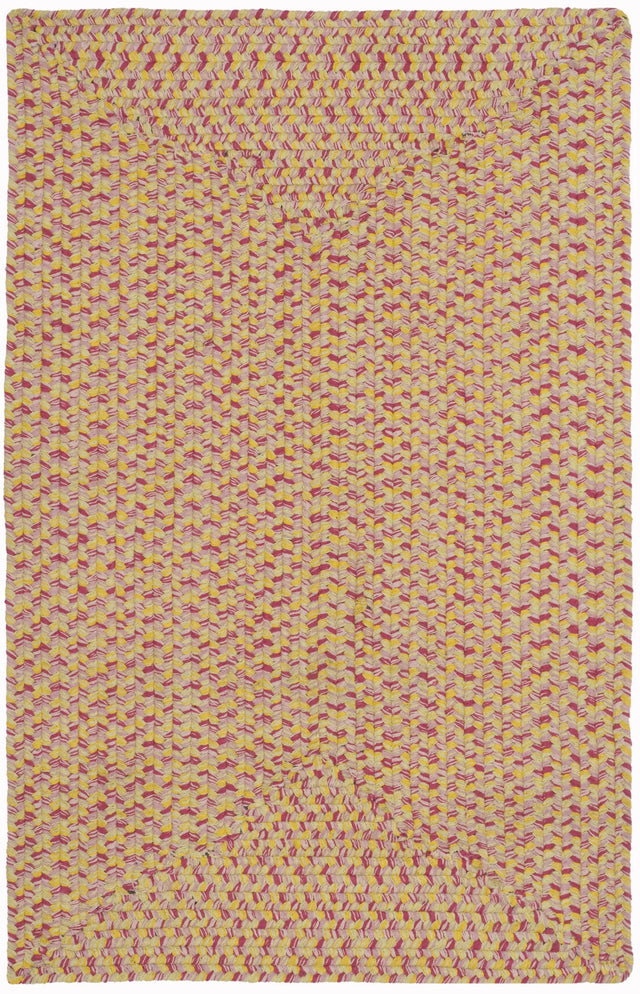 Safavieh Braided 2'-6" x 4'-0" Rug in Multi