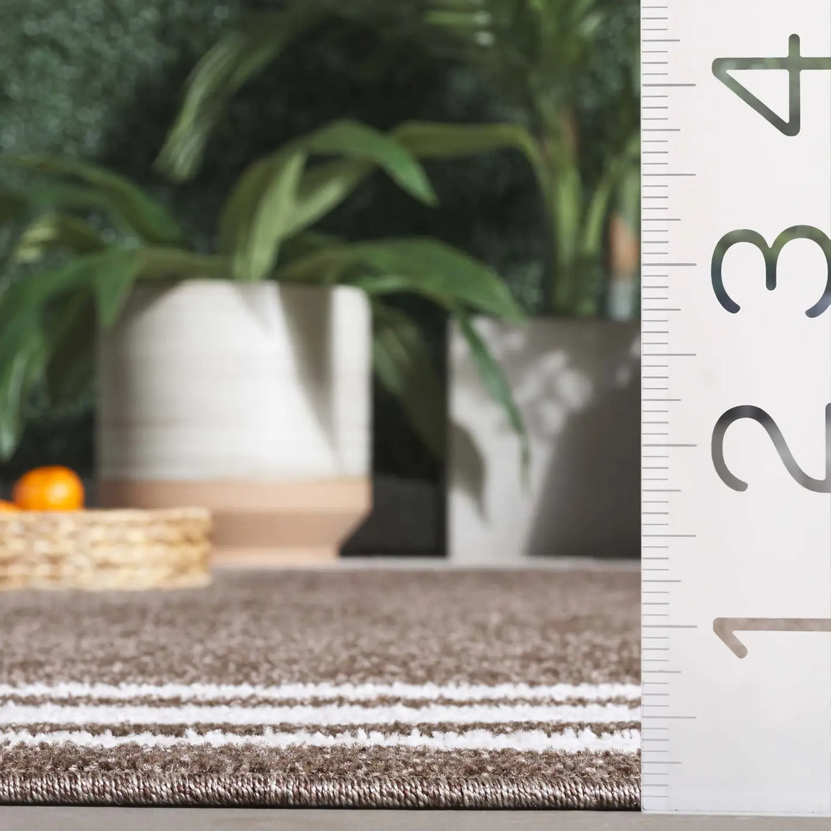 Safavieh Cabana 4'-0" x 6'-0" Rug in Brown / Ivory