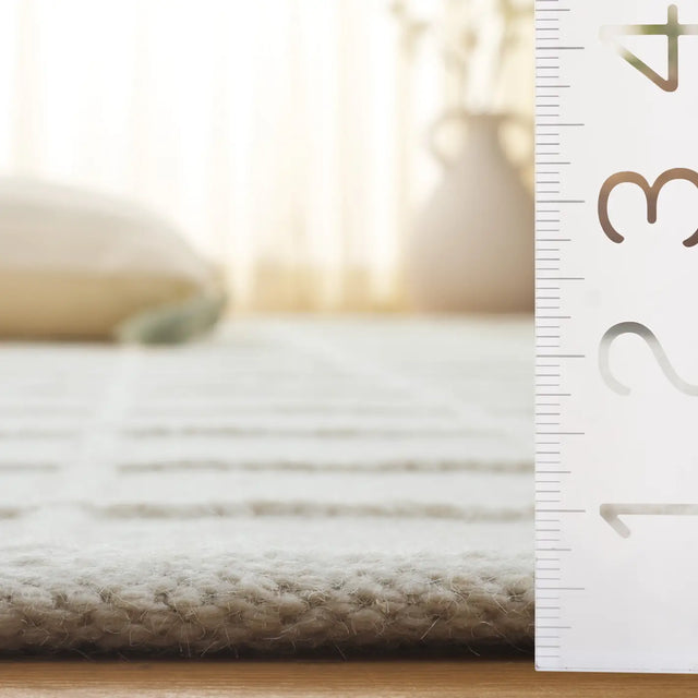 Safavieh Natura 4'-0" x 6'-0" Rug in Ivory