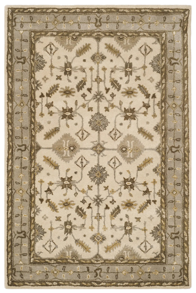 Safavieh Royalty 4'-0" x 6'-0" Rug in Cream / Light Grey