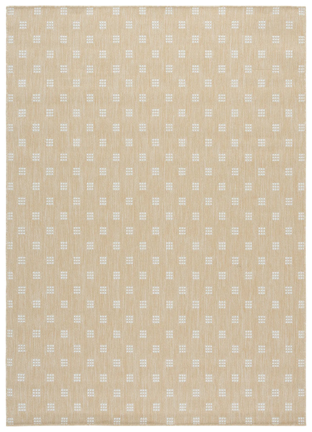 Safavieh Terrace 800 4'-0" x 6'-0" Rug in Beige / Ivory