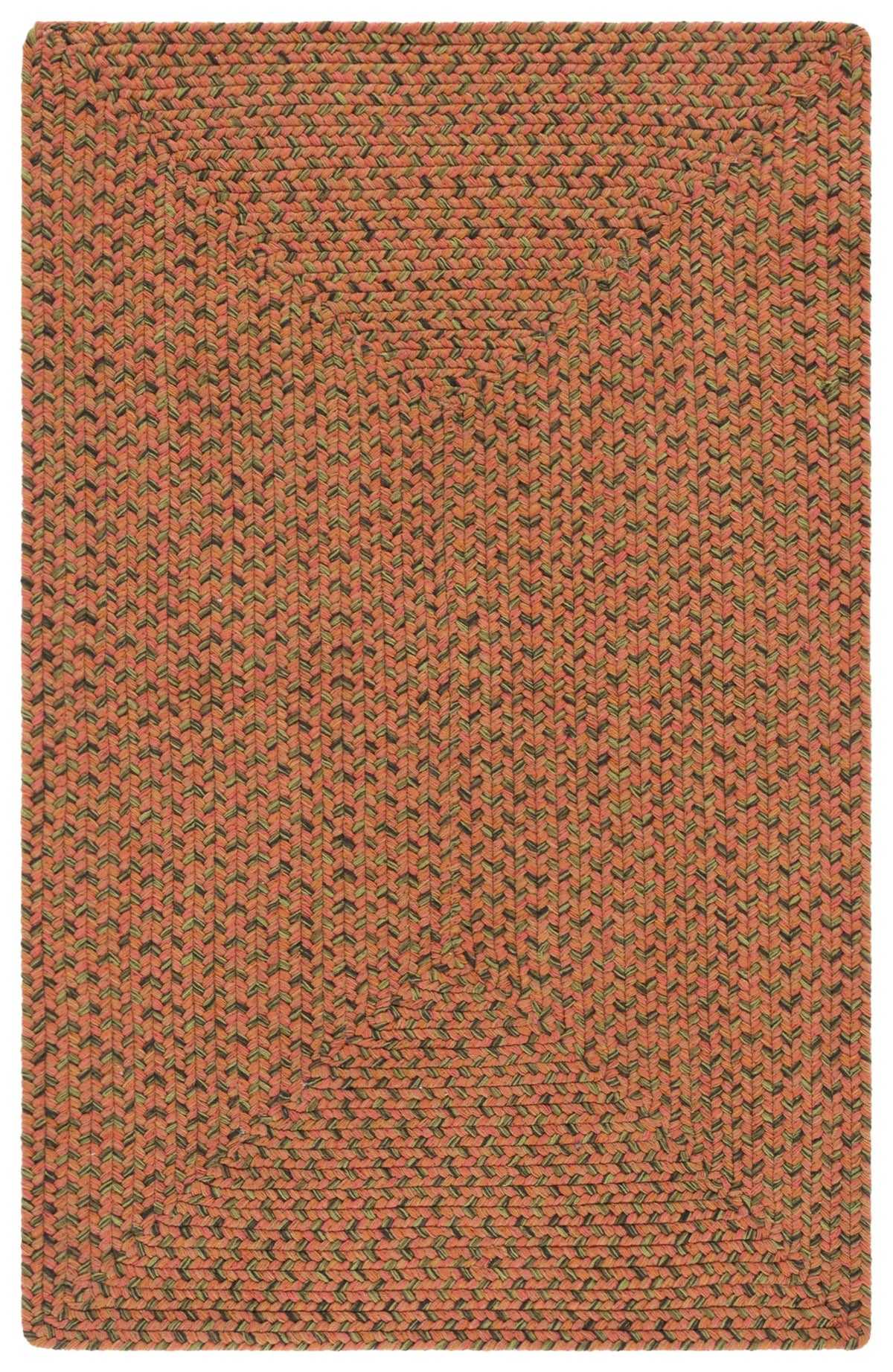 Safavieh Braided 2'-6" x 4'-0" Rug in Multi