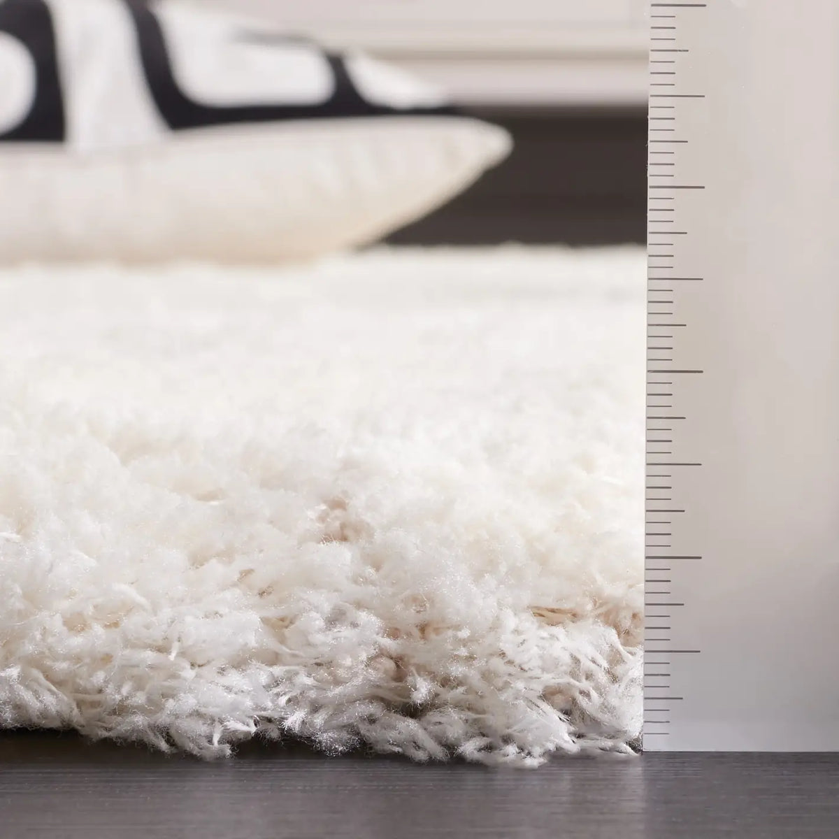 Safavieh Cloud Shag 4'-0" x 6'-0" Rug in Ivory / Grey