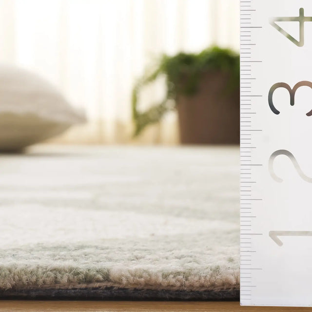 Safavieh Pine 4'-0" x 6'-0" Rug in Sage / Ivory