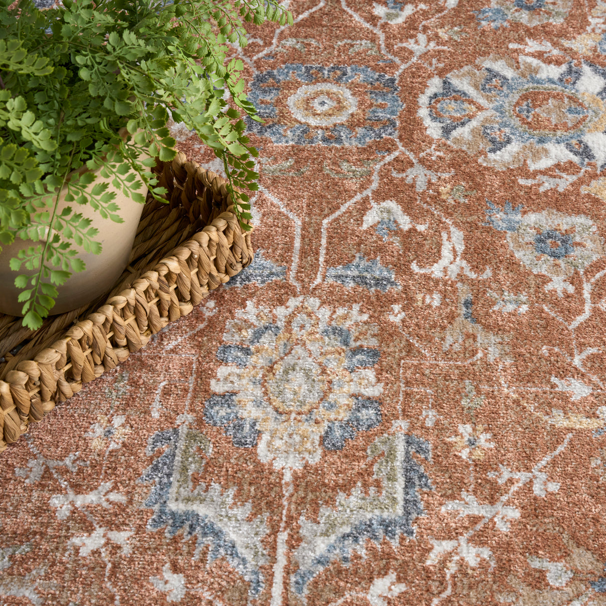 Nourison Astra Machine Washable ASW20 Machine Made Rust, Ivory Rug