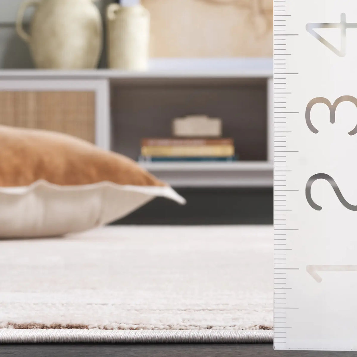 Safavieh Whisper 4'-0" x 6'-0" Rug in Beige / Dark Beig