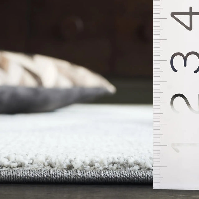 Safavieh Porcello 4'-0" x 6'-0" Rug in Ivory / Grey