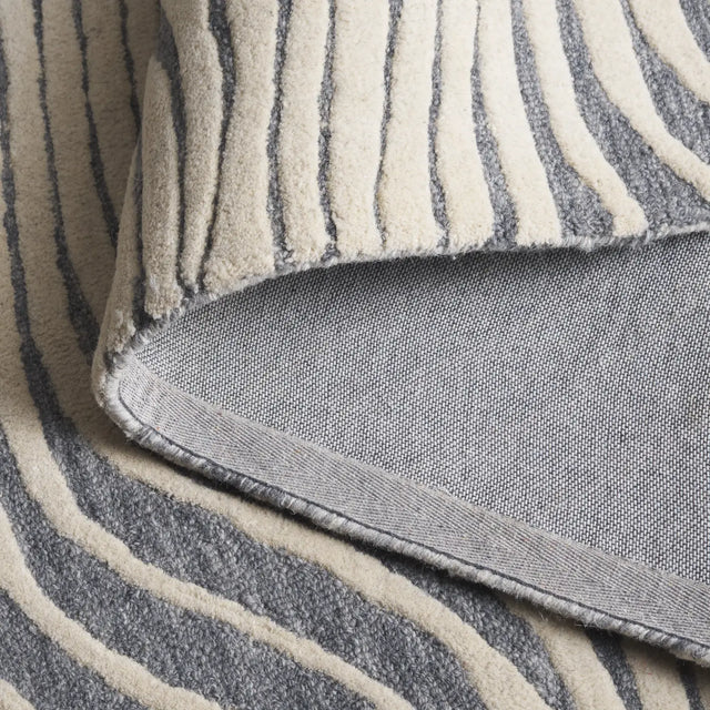 Safavieh Ebony 4'-0" x 6'-0" Rug in Grey / Ivory