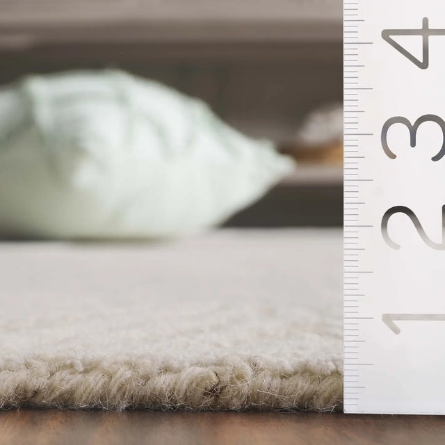 Safavieh Ebony 4'-0" x 6'-0" Rug in Ivory