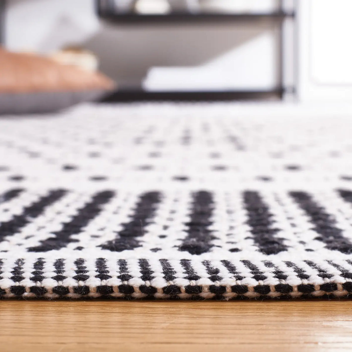 Safavieh Montauk 4'-0" x 6'-0" Rug in Black / Ivory